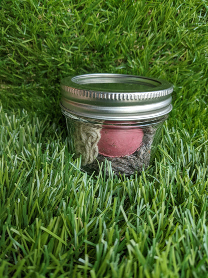 Inside Baseball Jar